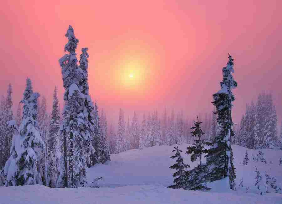 北京卫生职业学院校花乔乐瑶 北京卫生职业学院校花乔乐瑶