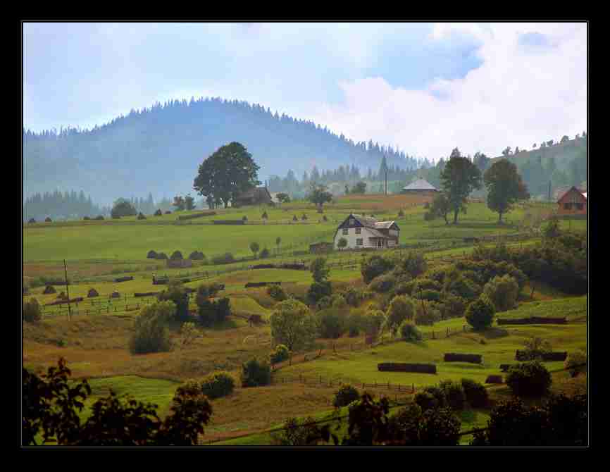 江西现代职业技术学院校花林知予 江西现代职业技术学院校花林知予