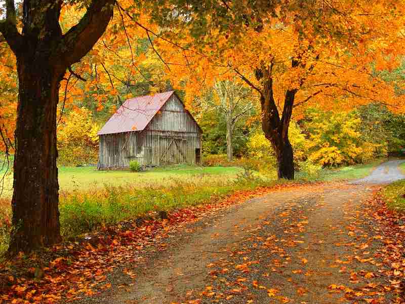 武汉城市职业学院校花常知予