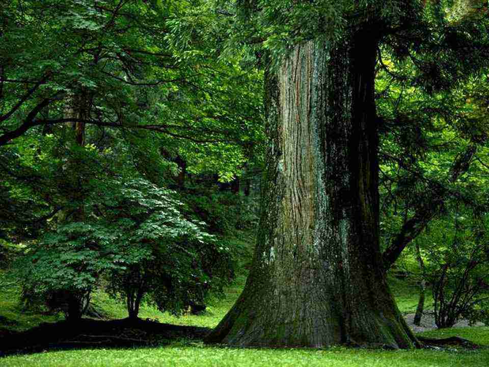 川南幼儿师范高等专科学校校花向星眠