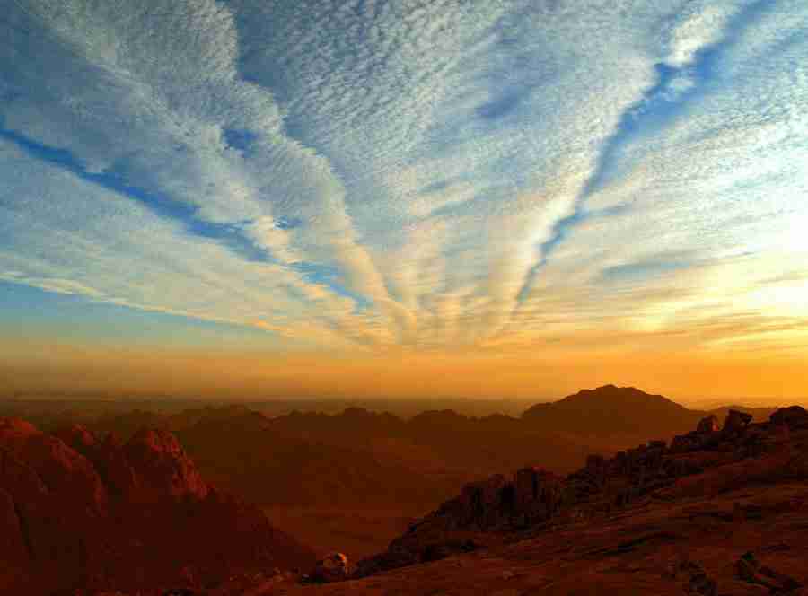宿迁泽达职业技术学院校花金书珩 宿迁泽达职业技术学院校花金书珩