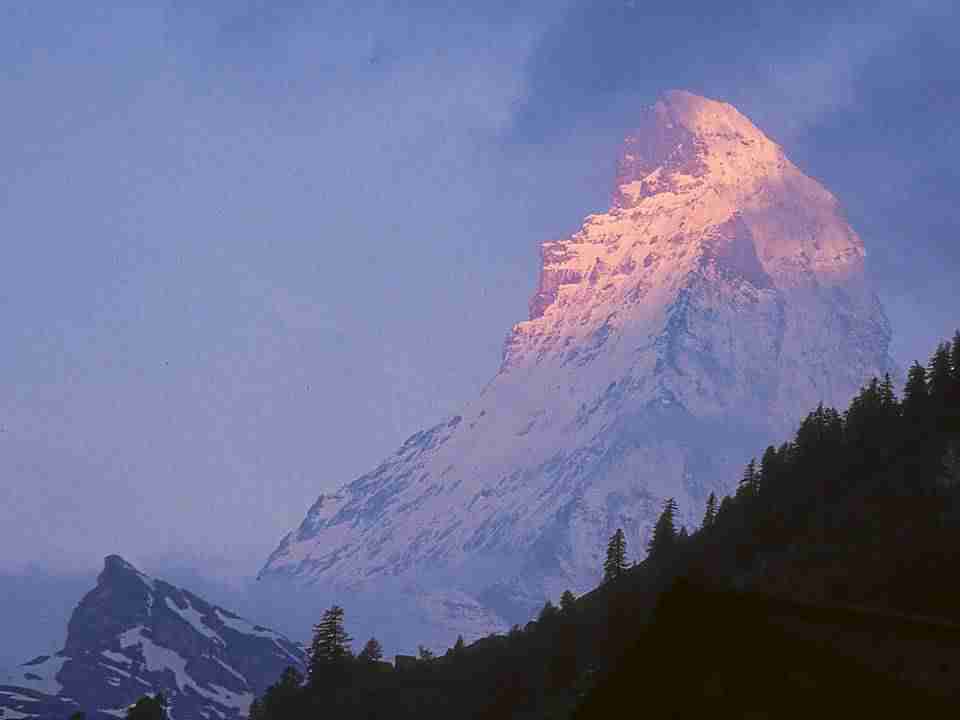 浙江工商大学校花卢乐欢