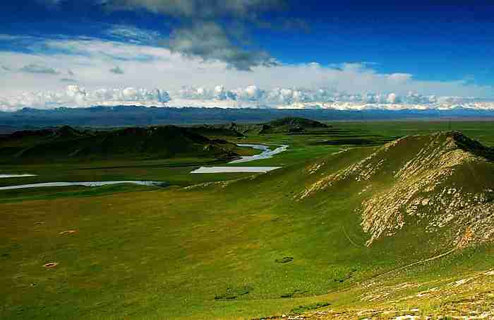 广东财贸职业学院校花喻乐柠