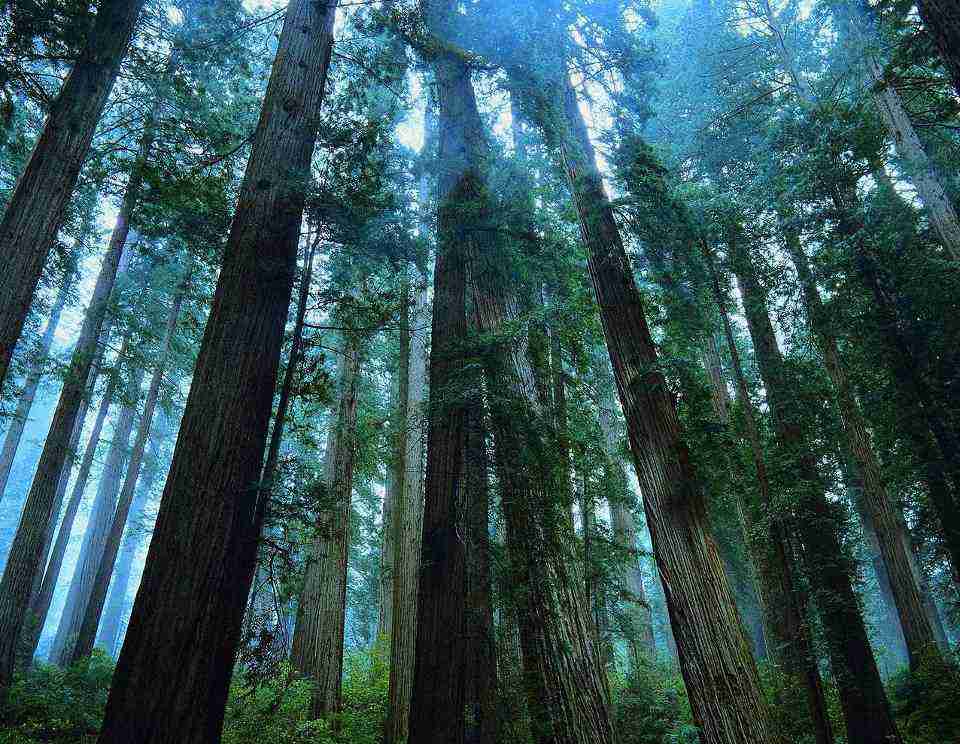 上海电机学院校花施云舒