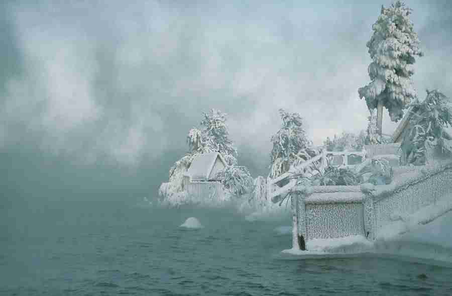 湛江科技学院校花段清宁 湛江科技学院校花段清宁