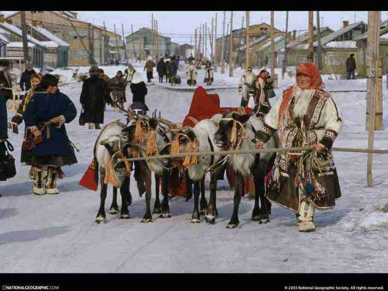 湖南石油化工职业技术学院校花梁清沅 湖南石油化工职业技术学院校花梁清沅